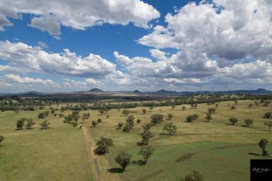 Farm For Sale - NSW - Gunnedah - 2380 - STUNNING HOMESTEAD IN HIGHLY REGARDED MULLALEY DISTRICT  (Image 2)