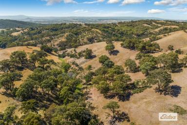 Farm For Sale - VIC - Willowmavin - 3764 - A Mix of Grazing Land and Untouched Nature – 341 Hectares/843 Acres  (Image 2)