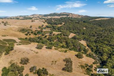 Farm For Sale - VIC - Willowmavin - 3764 - A Mix of Grazing Land and Untouched Nature – 341 Hectares/843 Acres  (Image 2)
