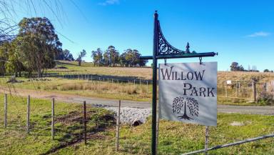 Farm For Sale - TAS - Westbury - 7303 - "Willow Park Farm" Agricultural Opportunity in the Meander Valley  (Image 2)