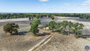 Farm For Sale - VIC - Katamatite - 3649 - Great cropping opportunity  (Image 2)
