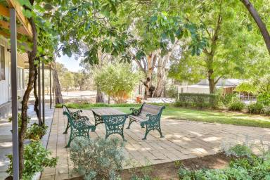 Farm For Sale - NSW - Curlwaa - 2648 - PRIVACY & LIFESTYLE AWAITS  (Image 2)