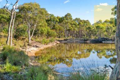 Farm Sold - NSW - Goulburn - 2580 - Private Hobby Bushland  (Image 2)