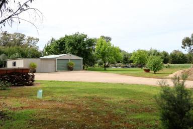 Farm For Sale - NSW - Parkes - 2870 - Idyllic rural lifestyle living just minutes from town.  (Image 2)