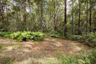 Farm For Sale - QLD - Verrierdale - 4562 - Natural Haven in Idyllic Location  (Image 2)