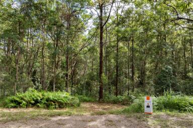 Farm For Sale - QLD - Verrierdale - 4562 - Natural Haven in Idyllic Location  (Image 2)