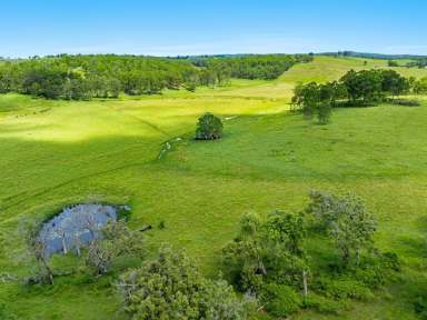 Farm For Sale - NSW - Woodview - 2470 - 100 Acres - Prime Opportunity  (Image 2)