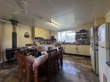 Farm For Sale - QLD - Monto - 4630 - Ultimate Horse Lovers Haven  (Image 2)