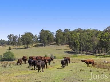 Farm Auction - NSW - Quorrobolong - 2325 - HOBBY FARMTASTIC  (Image 2)