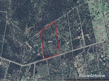 Farm For Sale - QLD - Durong - 4610 - 40 Acre property with Peace and Quiet ready to build on  (Image 2)