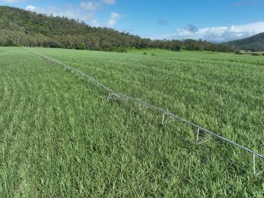 Farm Auction - QLD - Gargett - 4741 - Pioneer Valley Blue Ribbon Cane & Irrigation | 3 Farms for Auction  (Image 2)