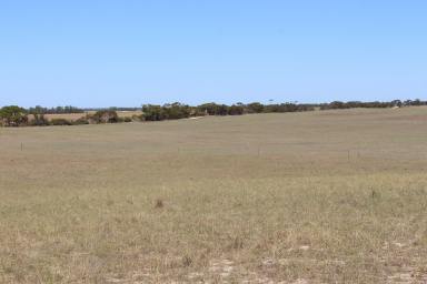Farm For Sale - SA - Netherton - 5301 - Ideal Add-On or Rural Lifestyle Allotment  (Image 2)