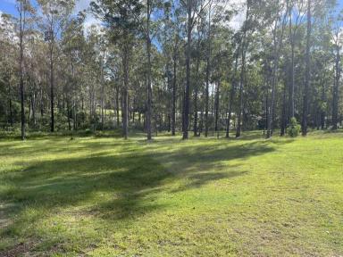 Farm For Sale - QLD - Bauple - 4650 - PEACE AND QUIET WITH SLAB PAD  (Image 2)