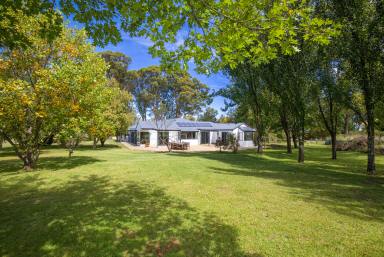 Farm Auction - NSW - Black Mountain - 2365 - Simply A Great Place To Call Home  (Image 2)