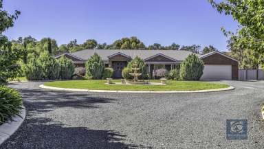 Farm For Sale - VIC - Echuca - 3564 - Quality lifestyle property with tranquil backdrop  (Image 2)