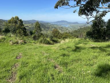 Farm Sold - NSW - Singleton - 2330 - Way up in the mountains - Carrowbrook  (Image 2)
