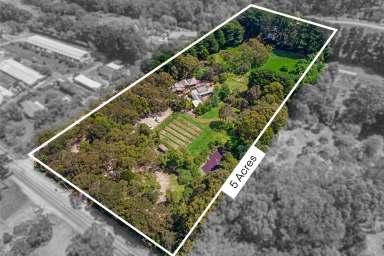 Farm For Sale - VIC - Red Hill - 3937 - Versatile Business Opportunities & Expansion Potential - Business Available to Purchase Separately with Lease  (Image 2)