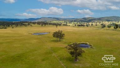 Farm For Sale - NSW - Red Range - 2370 - "Fairfield"  (Image 2)
