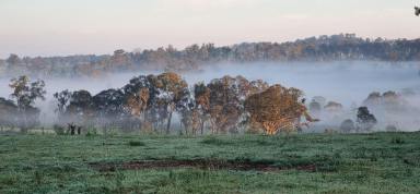 Farm Auction - NSW - Arding - 2358 - High Rainfall Mixed Grazing  (Image 2)