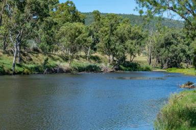 Farm Sold - NSW - Mole River - 2372 - "Molevale" Riverfront Production Powerhouse  (Image 2)
