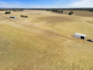 Farm Auction - VIC - Drumborg - 3304 - Prime Farming Land In High Rainfall Area  (Image 2)