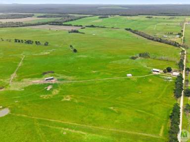 Farm For Sale - VIC - Drumborg - 3304 - Prime Farming Land In High Rainfall Area  (Image 2)