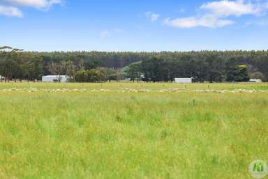 Farm For Sale - VIC - Drumborg - 3304 - Prime Farming Land In High Rainfall Area  (Image 2)