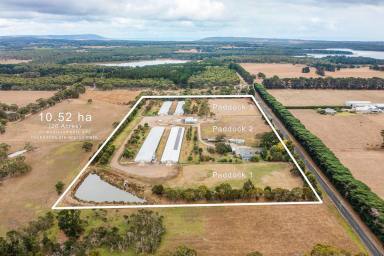 Farm For Sale - VIC - Tuerong - 3915 - Free-Range Chicken Farm with Multi-Residence  (Image 2)