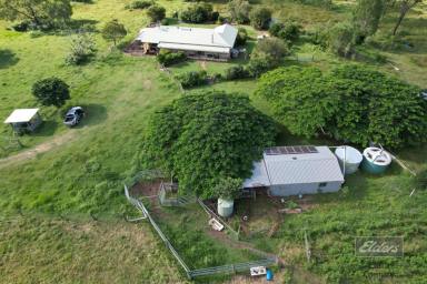 Farm For Sale - QLD - Paterson - 4570 - ACREAGE LIVING AT ITS FINEST!  (Image 2)