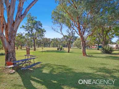 Farm For Sale - NSW - Quirindi - 2343 - Its time to say yes to more space!  (Image 2)