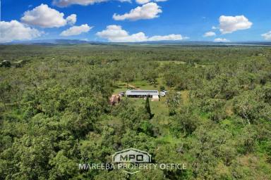 Farm For Sale - QLD - Biboohra - 4880 - 57 ACRES - PRIVATE & ELEVATED HIDEAWAY  (Image 2)