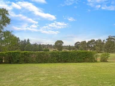 Farm For Sale - NSW - Ardlethan - 2665 - THIS VIEW COULD BE YOURS  (Image 2)