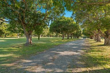 Farm For Sale - QLD - Tinana - 4650 - Your Dream Acreage Awaits at Central Acres Estate  (Image 2)