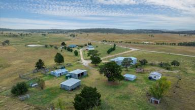 Farm Auction - NSW - Dundee - 2370 - Large-scale New England Grazing property.  (Image 2)