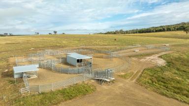 Farm Auction - NSW - Dundee - 2370 - "Dunvegan Aggregation" Reliable Climate ... Reliable Returns  (Image 2)