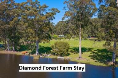 Farm For Sale - WA - Middlesex - 6258 - RARE OPPORTUNITY TO OWN A STUNNING, AWARD-WINNING SOUTHERN FORESTS FARM STAY- WIWO  (Image 2)