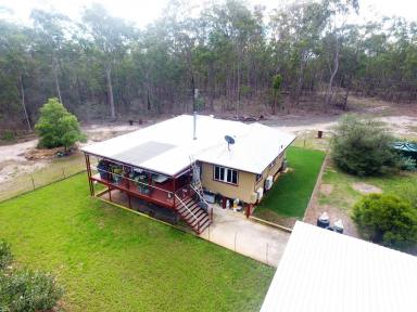 Farm For Sale - QLD - Ballogie - 4610 - Privacy Assured , Wonderfully Presented Home and Sheds Galore !!!  (Image 2)