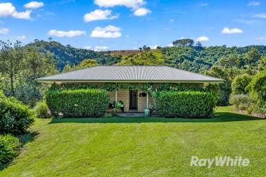 Farm Sold - NSW - Gloucester - 2422 - 'Harlos Farm' - Must be sold  (Image 2)