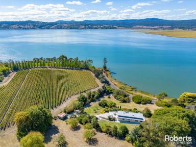 Farm For Sale - TAS - Rosevears - 7277 - Just Look at that View!!  (Image 2)