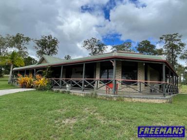 Farm For Sale - QLD - Nanango - 4615 - Large Homestead on 40 Acres  (Image 2)