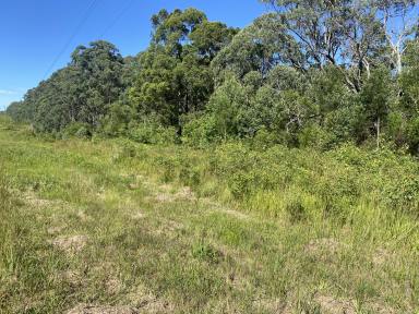 Farm For Sale - NSW - Hillville - 2430 - Small acres midway between Hillville and Possum Brush  (Image 2)