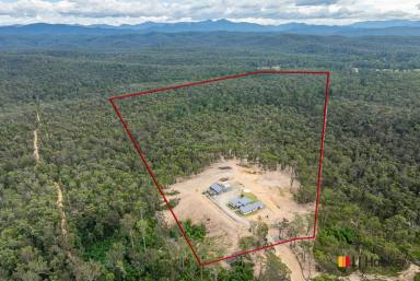 Farm For Sale - NSW - Moruya - 2537 - Private But Not Isolated!  (Image 2)