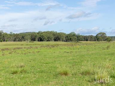 Farm For Sale - NSW - East Seaham - 2324 - Erehwon - 257 Acres of Prime River Front Country  (Image 2)