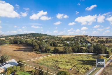 Farm For Sale - NSW - Canowindra - 2804 - 4.05 acre high productive land, located in the heart of Canowindra!  (Image 2)