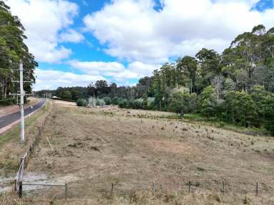 Farm For Sale - TAS - Abbotsham - 7315 - Exciting business venture proposal  (Image 2)