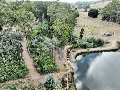 Farm For Sale - TAS - Abbotsham - 7315 - Exciting business venture proposal  (Image 2)