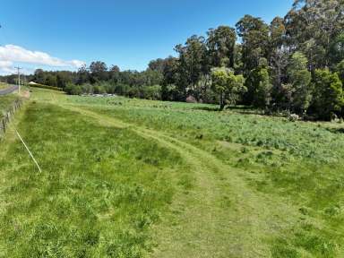 Farm For Sale - TAS - Abbotsham - 7315 - Exciting business venture proposal  (Image 2)