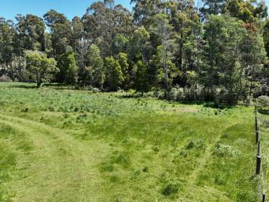 Farm For Sale - TAS - Abbotsham - 7315 - Exciting business venture proposal  (Image 2)