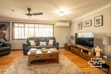 Farm For Sale - NSW - Ashford - 2361 - Family Home with Modern Amenities and Rural Charm  (Image 2)