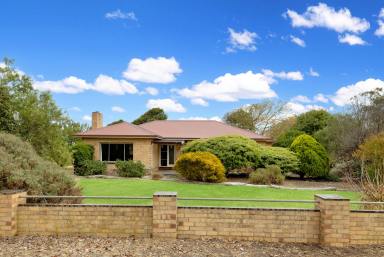 Farm For Sale - VIC - Homerton - 3304 - A Wealth Of Opportunity!  (Image 2)